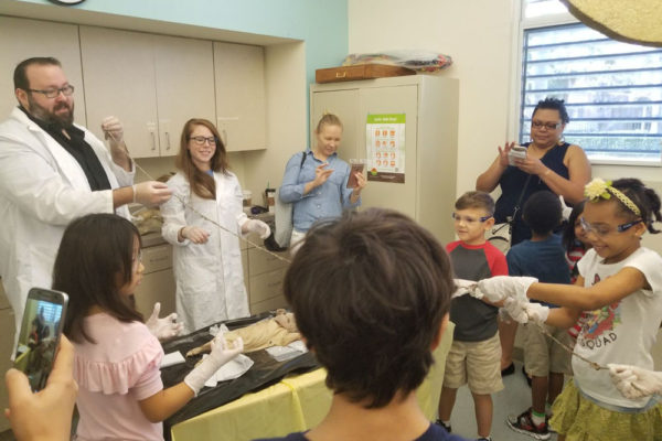 1-13-18-manifezt-foundation-pig-dissection-stem-workshop-at-southwest-regional-library-14 Pig Dissection STEM Workshop at Southwest Regional Library