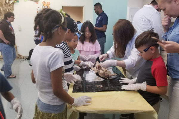 1-13-18-manifezt-foundation-pig-dissection-stem-workshop-at-southwest-regional-library-20 Pig Dissection STEM Workshop at Southwest Regional Library