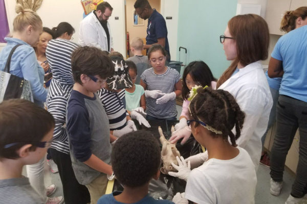 1-13-18-manifezt-foundation-pig-dissection-stem-workshop-at-southwest-regional-library-35 Pig Dissection STEM Workshop at Southwest Regional Library