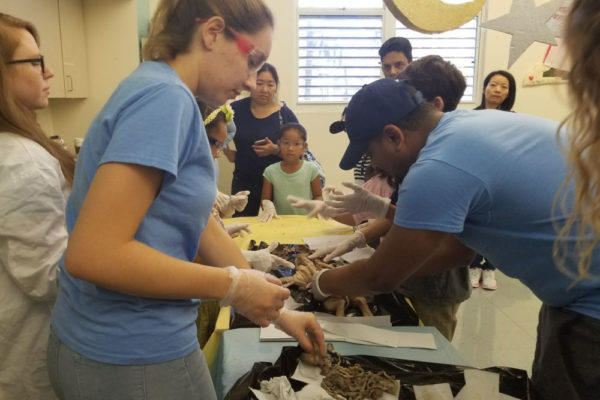 1-13-18-manifezt-foundation-pig-dissection-stem-workshop-at-southwest-regional-library-4 Pig Dissection STEM Workshop at Southwest Regional Library