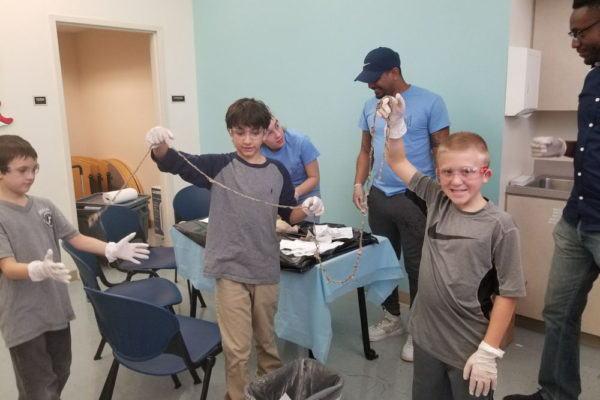 1-13-18-manifezt-foundation-pig-dissection-stem-workshop-at-southwest-regional-library-9 Pig Dissection STEM Workshop at Southwest Regional Library