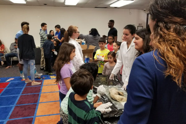 1-27-18-science-in-the-city-dissections-workshop-at-miami-lakes-library-34 Exploring Parallels Between Animal and Human Anatomy STEM Workshop at Miami Lakes Library