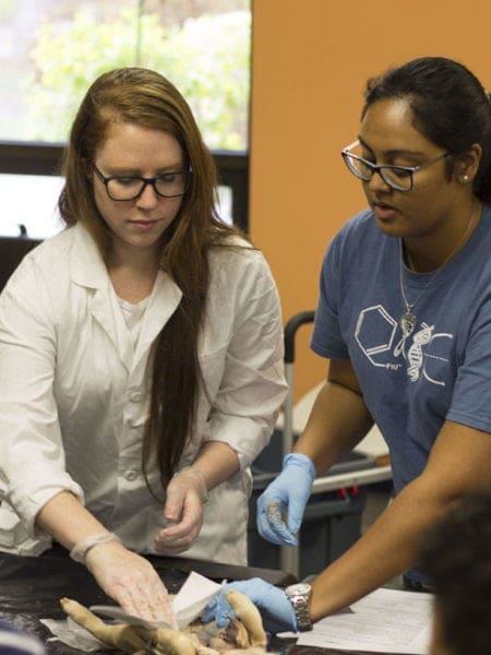 Miami Lakes Library STEM Workshop