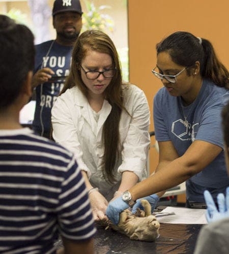 Miami Lakes Library STEM Workshop