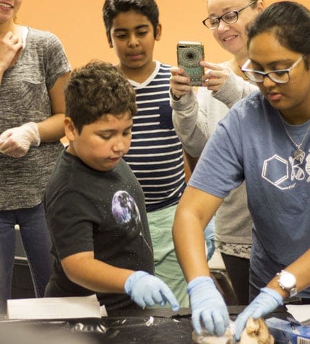 Miami Lakes Library STEM Workshop