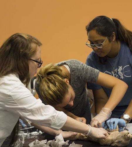 Miami Lakes Library STEM Workshop