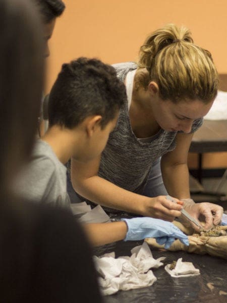 Miami Lakes Library STEM Workshop