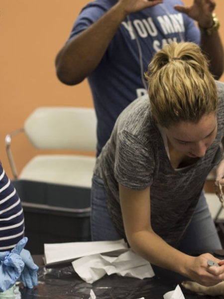 Miami Lakes Library STEM Workshop