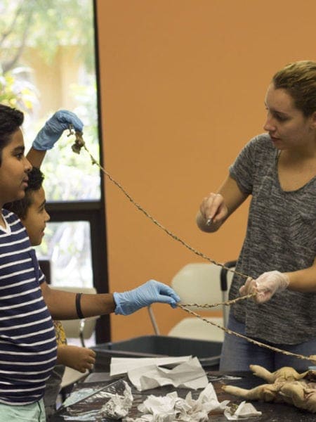 Miami Lakes Library STEM Workshop