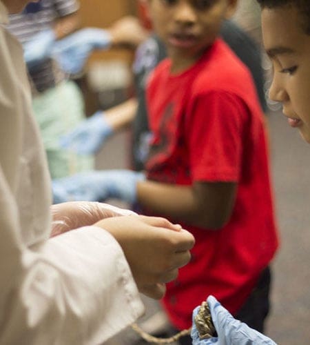 Miami Lakes Library STEM Workshop