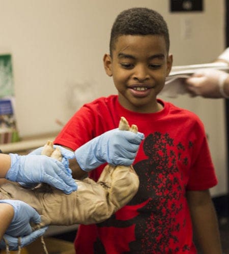 Miami Lakes Library STEM Workshop