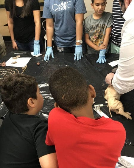 Miami Lakes Library STEM Workshop