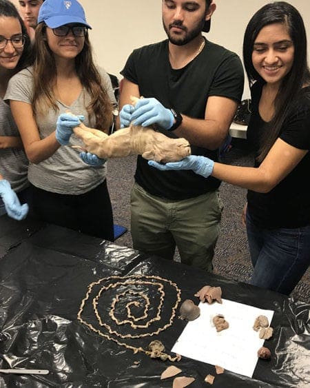 Miami Lakes Library STEM Workshop