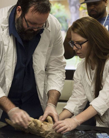 Miami Lakes Library STEM Workshop