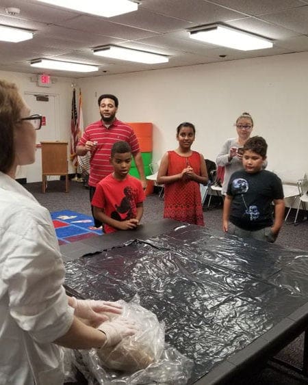 Miami Lakes Library STEM Workshop