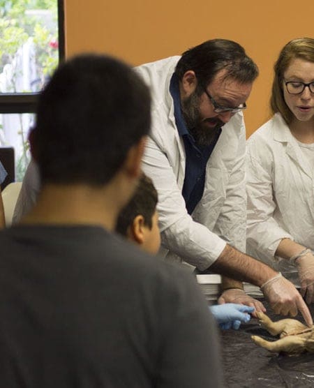 Miami Lakes Library STEM Workshop